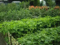 10.07.09 009.webp