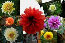 2009_10_27.webp