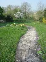 20090414_8055.webp