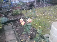 IMG031.webp