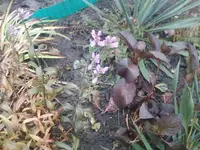 IMG034.webp