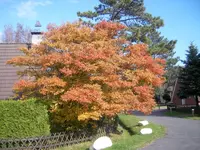 Urlaub 03.10. bis 24.10.09 36.webp
