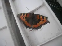 Urlaub 03.10. bis 24.10.09 75.webp