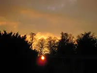 IMG_1190.webp