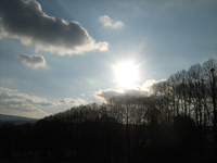 IMG_2884.webp