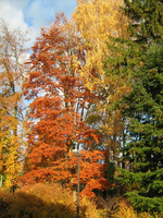 IMG_2893.webp