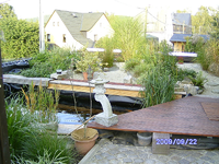 Teich 2009 134.webp