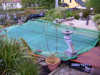Teich 2009 152.webp