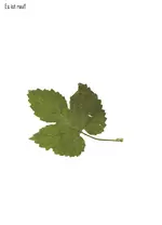 img003.webp