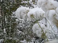 P1090756_600_450.webp