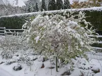 P1090749_600_450.webp