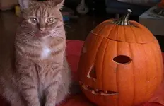 luckykürbis.webp