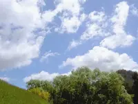 November 2009 111 v.webp