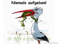 uzq1vpk7hze[1].webp