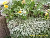 JD500184.webp
