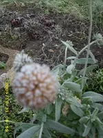 JD500177.webp