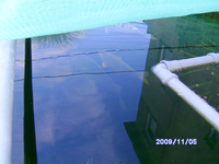 Teich 2009 171.webp