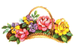 blume_u_600.gif