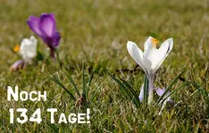 134 Tage.webp