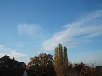 Morgenbilder.webp