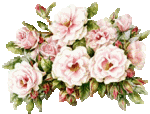 bl_0046.gif