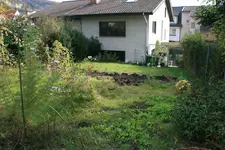 Beet-von-oben-gesehen.webp