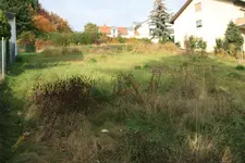 Wiese.webp