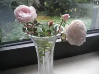 garten 09 001.webp