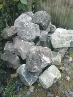IMG024.webp