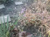 IMG029.webp
