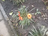 IMG030.webp