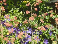 2.7.2008 006.webp