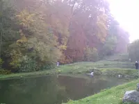 Fischteich.jpg.webp