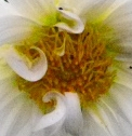 Rätsel10.webp