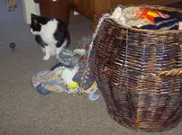 August 2009 330 v.webp