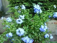 9992.webp