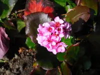 25.10.09 018.webp