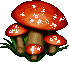 pilz_13.gif