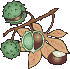 2006_Herbst_11.gif