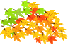 blatt_17.gif