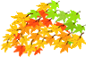 blatt_18.gif