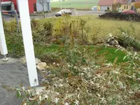 blick von terrasse.webp
