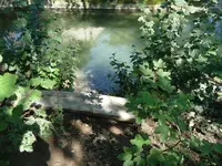 Am Bach Sept.webp
