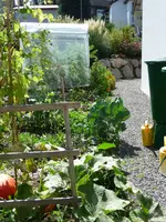 Gemüsegarten 9.3.webp