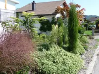 Salbeiplantage.webp