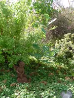 wilde Eiche.webp
