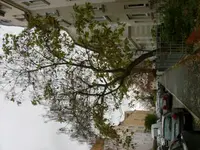 HPIM3455.webp