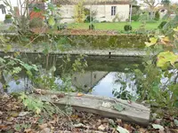 Am Bach1.webp