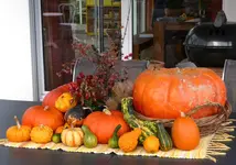 Kürbisdeko.webp