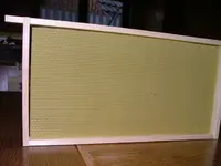 DSCF0170.webp